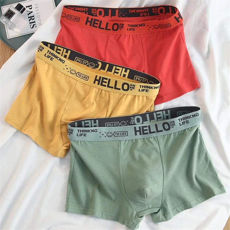 10Pieces/ Men's Underwear Men  - Boxer Shorts Modal บทวิจารณ์และราคา