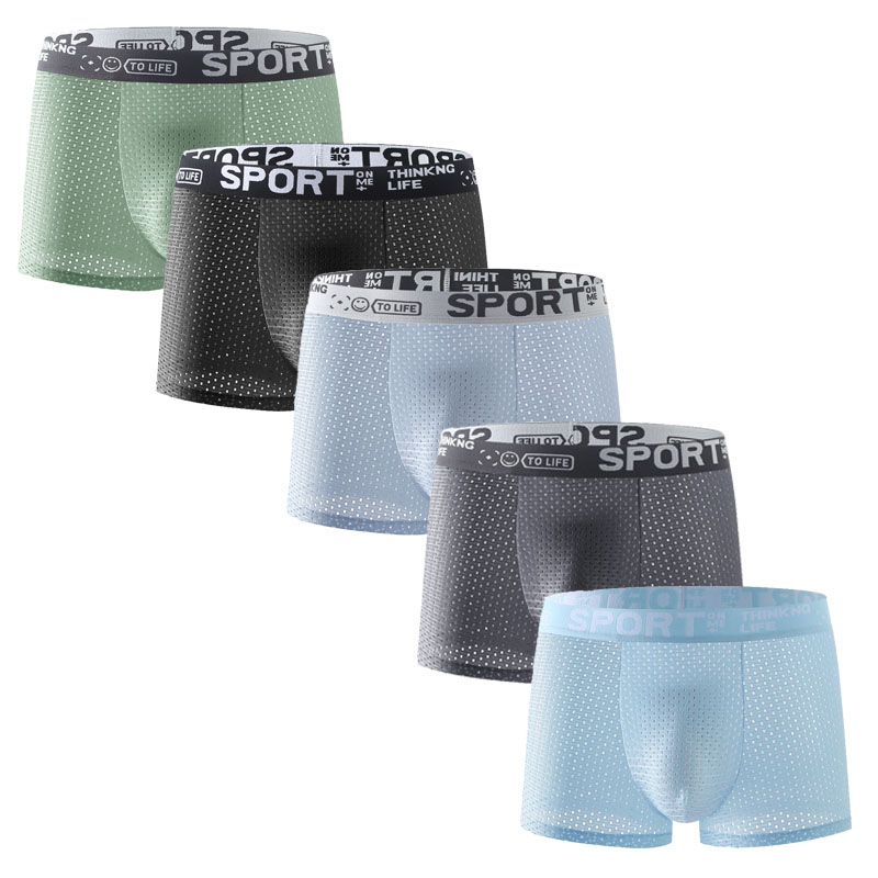 5PCS Men's Ice Silk Mesh Boxer - Mesh Sport Boxer บทวิจารณ์และราคา