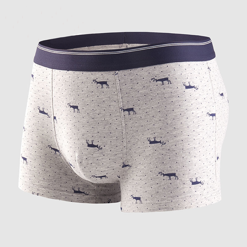 4pcs Men's Panties Sexy Shorts - Boxer Brief Pack Cotton บทวิจารณ์และราคา