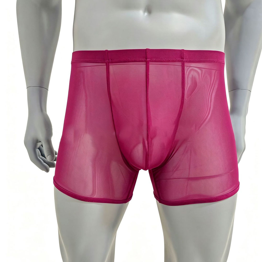 Men Mesh See-through Ultra-thi - Long Leg Trunk Men บทวิจารณ์และราคา