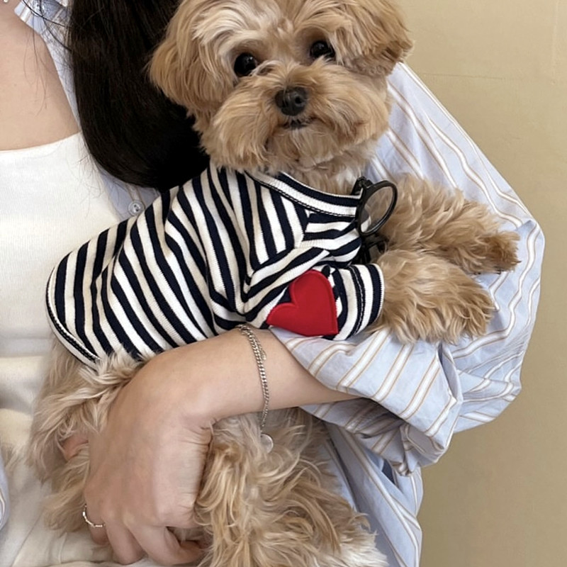 Dog Vest for Small Dogs Pet Do - Sleeveless Undershirt บทวิจารณ์และราคา
