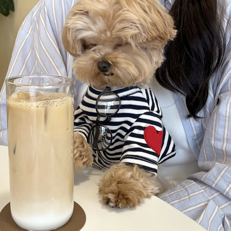Dog Vest for Small Dogs Pet Do - Sleeveless Undershirt บทวิจารณ์และราคา